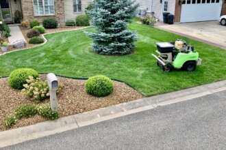 Lawn Fertilizer and Weed Control